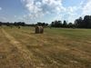 3990 W State Highway 154 photo